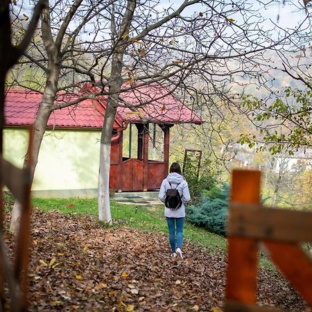 Holiday Home Nanin Konak 2 Vrdnik Exterior photo