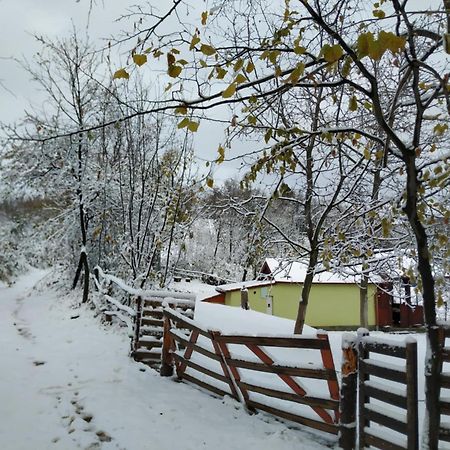 Holiday Home Nanin Konak 2 Vrdnik Exterior photo