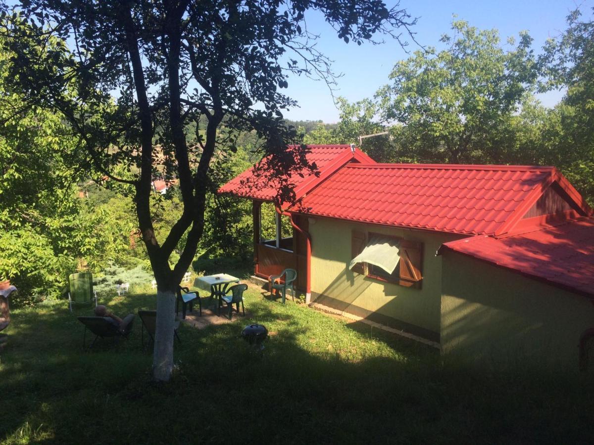 Holiday Home Nanin Konak 2 Vrdnik Exterior photo