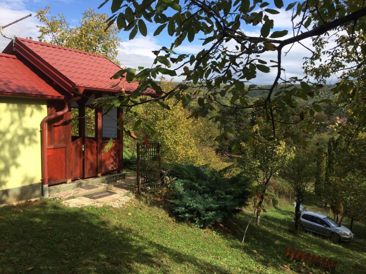 Holiday Home Nanin Konak 2 Vrdnik Exterior photo