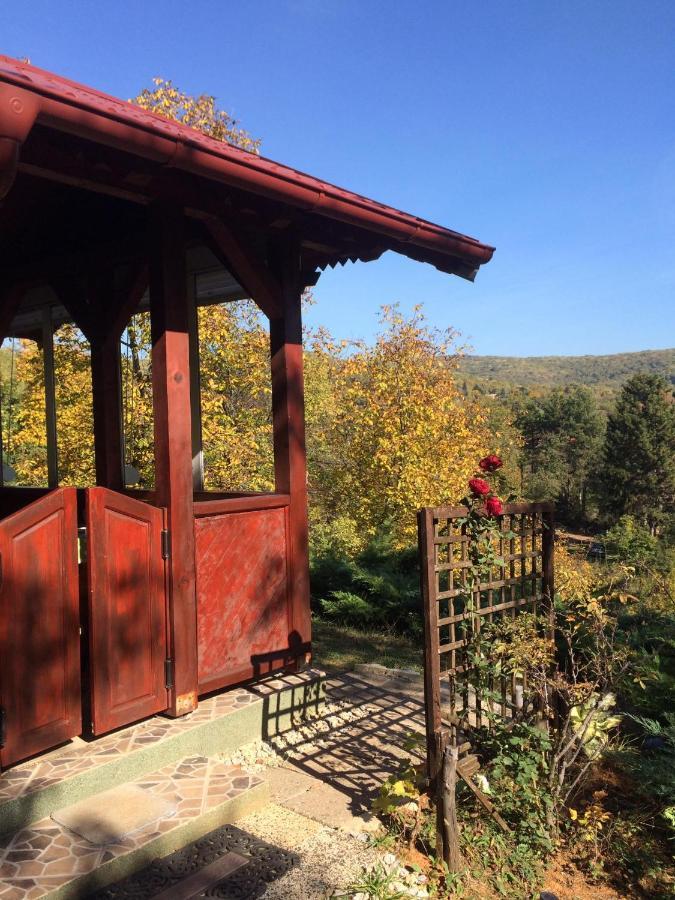Holiday Home Nanin Konak 2 Vrdnik Exterior photo