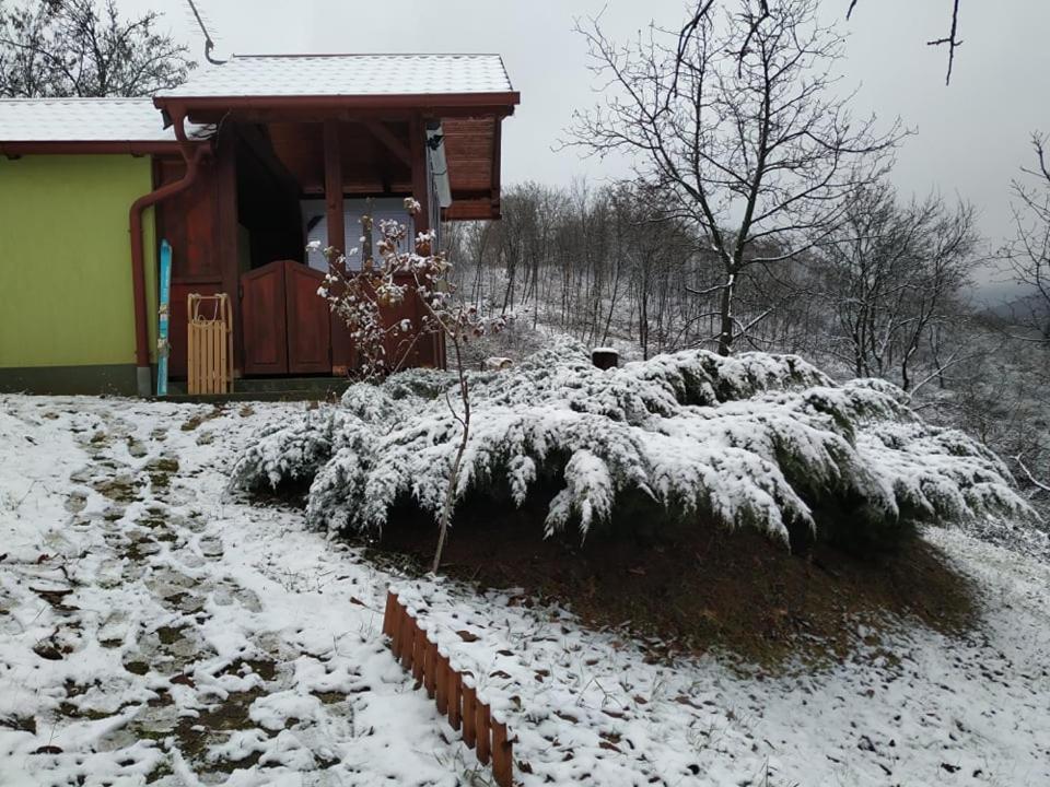 Holiday Home Nanin Konak 2 Vrdnik Exterior photo