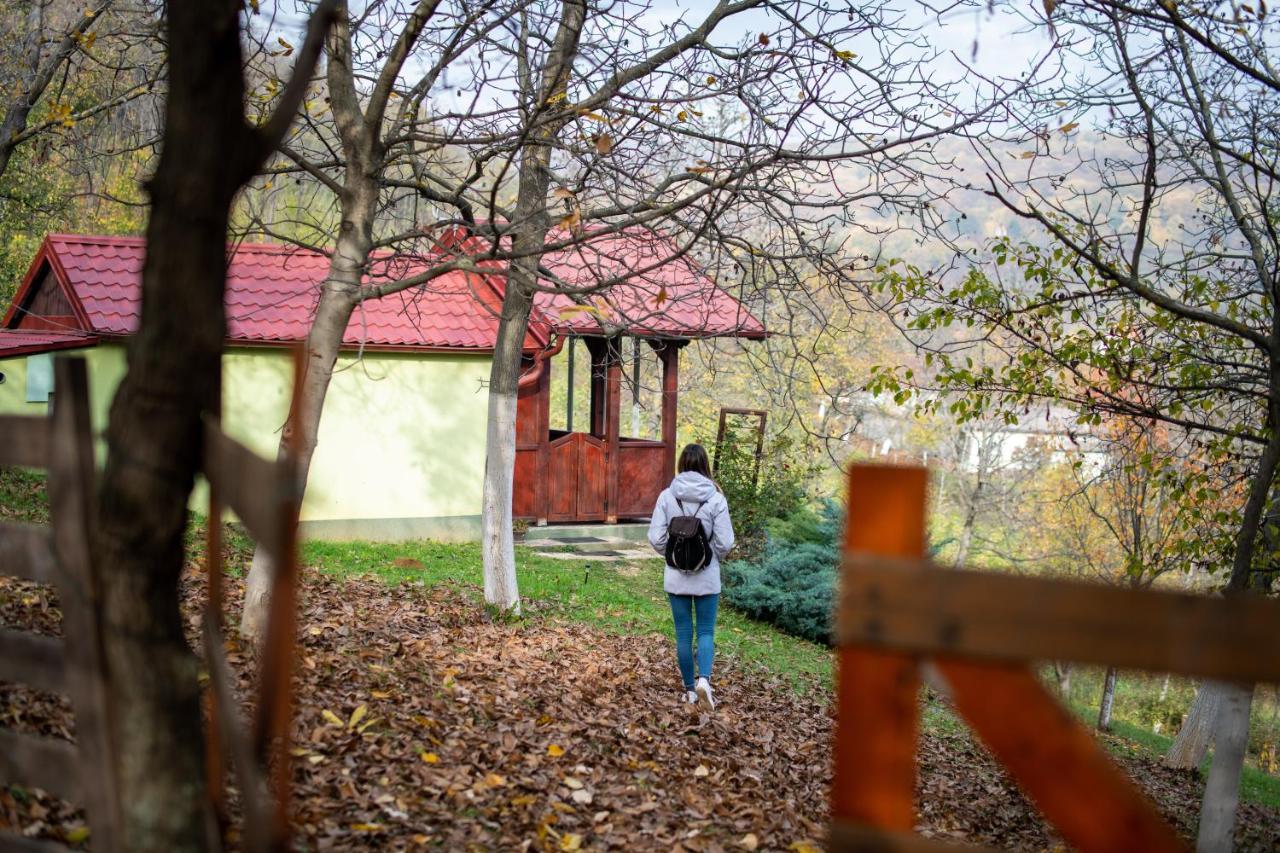 Holiday Home Nanin Konak 2 Vrdnik Exterior photo