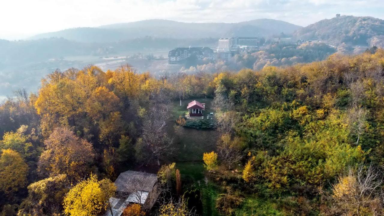 Holiday Home Nanin Konak 2 Vrdnik Exterior photo