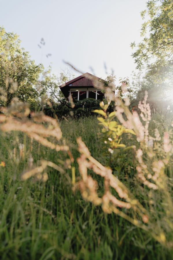 Holiday Home Nanin Konak 2 Vrdnik Exterior photo