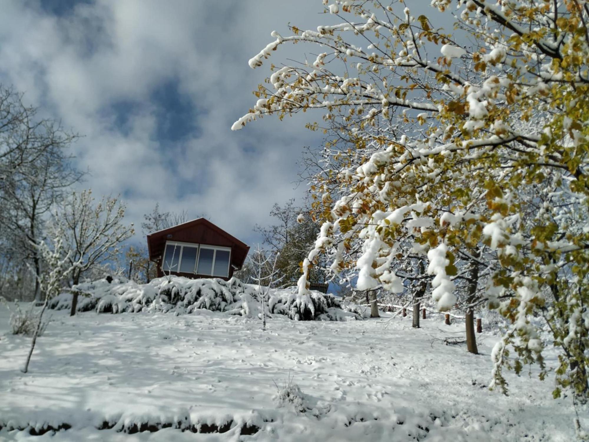 Holiday Home Nanin Konak 2 Vrdnik Exterior photo