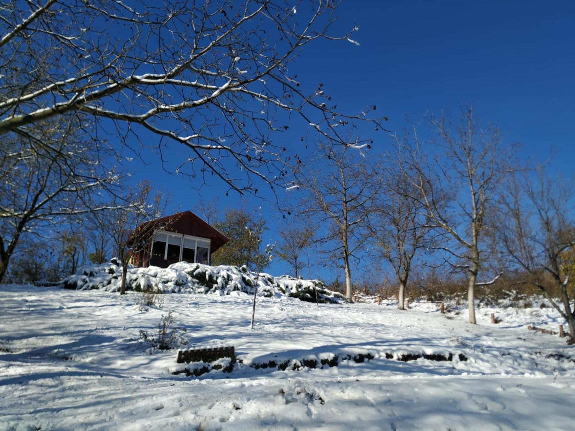 Holiday Home Nanin Konak 2 Vrdnik Exterior photo