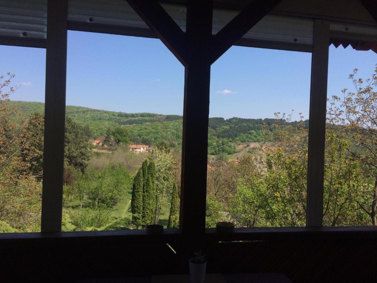 Holiday Home Nanin Konak 2 Vrdnik Exterior photo